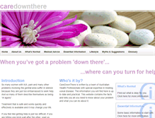 Tablet Screenshot of caredownthere.com.au